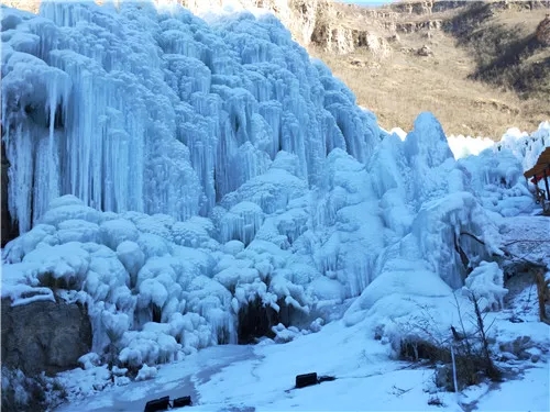 1550627787393576.jpg 640.webp.jpg